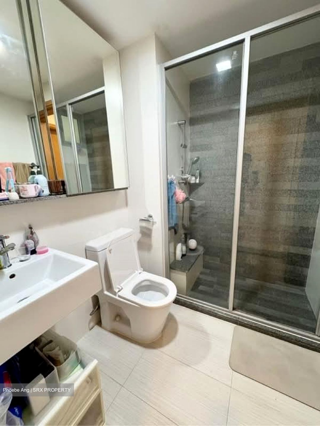 8 @ Mount Sophia (D9), Condominium #579187341